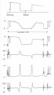 ksch2.gif (10422 Byte)